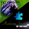 120 Minutes Relaxing Sounds of Nature for Deep Sleep, Meditation, Yoga, Home Spa, Total Relax, Reduce Stress - Nature Sounds Collective