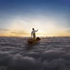 The Endless River (Deluxe Edition), 2014