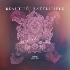 Beautiful Battlefield by Chris Sandoe album reviews, ratings, credits