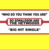 Who Do You Think You Are (BDH Reunion Re-Record) artwork