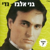 מחרוזת: חסידה artwork