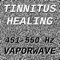 Tinnitus Healing For Damage At 451 Hertz - Vaporwave lyrics