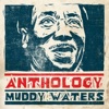 Muddy Waters - She's Alright