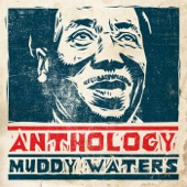 Muddy Waters - I Can't Be Satisfied