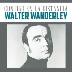 Solamente una Vez - Single - Walter Wanderley Solamente una Vez - Single - Walter Wanderley