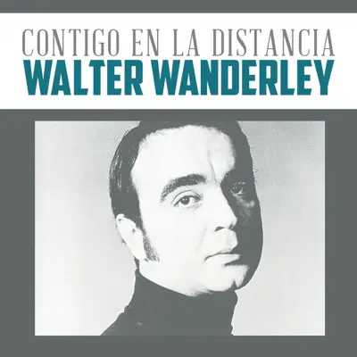 Solamente una Vez - Single - Walter Wanderley
