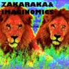 Zakaraka & Imaginomics - The Most Astounding Fact