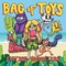 Idiot - Bag of Toys lyrics