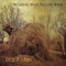 Bushy Tailed Rabbit - Whiskey Bent Valley Boys lyrics