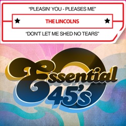 The Lincolns - Don't Let Me Shed No Tears