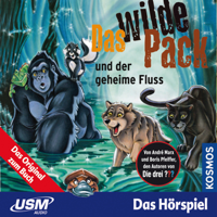 André Marx & Boris Pfeiffer - Das wilde Pack und der geheime Fluss (Das wilde Pack 3) artwork