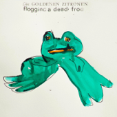 Flogging a Dead Frog - Die Goldenen Zitronen