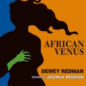 African Venus artwork