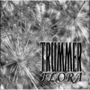 Trummerflora, 1995
