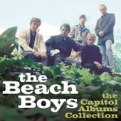 The Beach Boys - I Went to Sleep