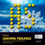 Leaving Feelings (Physical Phase Remix)
