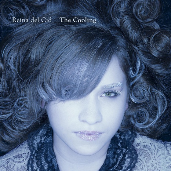 Cover artwork for The Cooling