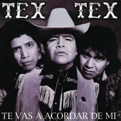 Te Vas a Acordar de Mi - Tex tex