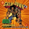 Calm Down 2.0 - Single