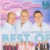 Best of -Alle grossen Hits