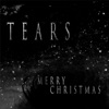 Merry Christmas - Single, 2014