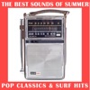 Jeffrey Foskett - The Beach Boys, An American Family (Theme)