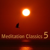 Meditation Classics, Vol. 5 artwork