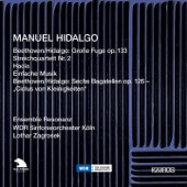 6 Bagatelles, Op. 126 (Arr. M. Hidalgo for Strings): No. 4, Presto artwork