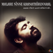 Malare Ninne Kaanathirunnaal - Various Artists