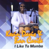 I Like to Mambo artwork