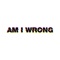 Am I Wrong (Extended) artwork