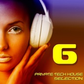 Private Tech House Selection, Vol. 6 artwork