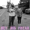 Hey Big Freak - Single album lyrics, reviews, download