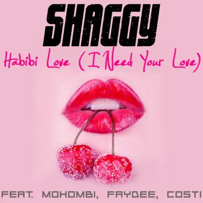 Habibi Love (I Need Your Love) [feat. Mohombi, Faydee & Costi] - Single - Shaggy