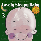 Lovely Sleepy Baby 3 - Raimond Lap