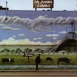 Dr. John's Gumbo - Dr. John