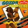 Gozón Tropical, 1995