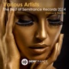 The Best of Semitrance Records 2014 (Trance & Electro)