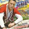 Zef Beka - M'I Përshëndet Trojet E Mia