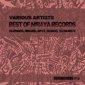 Best of Niraya Records artwork