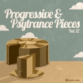 Progressive Trance & Psy Trance Pieces, Vol. 12 artwork