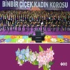 Kadın Korosu - Adalardan Çıktım Yayan