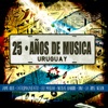 25 Años de Música Uruguaya