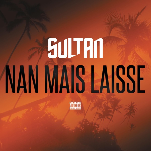 Nan mais laisse - Single - Sultan