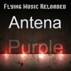 Purple - Single
