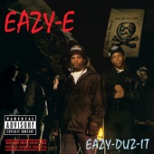 Eazy-Duz-It cover