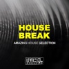 House Break (Amazing House Selection)