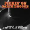 Pickin On Garth Brooks Volume 2: Going to the Rodeo - A Bluegrass Tribute album lyrics, reviews, download