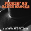 Pickin On Garth Brooks Volume 2: Going to the Rodeo - A Bluegrass Tribute