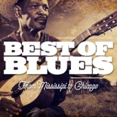 Best of Blues - From Mississipi to Chicago artwork